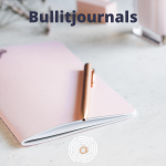 Annelou van Noort creatief bullit journals